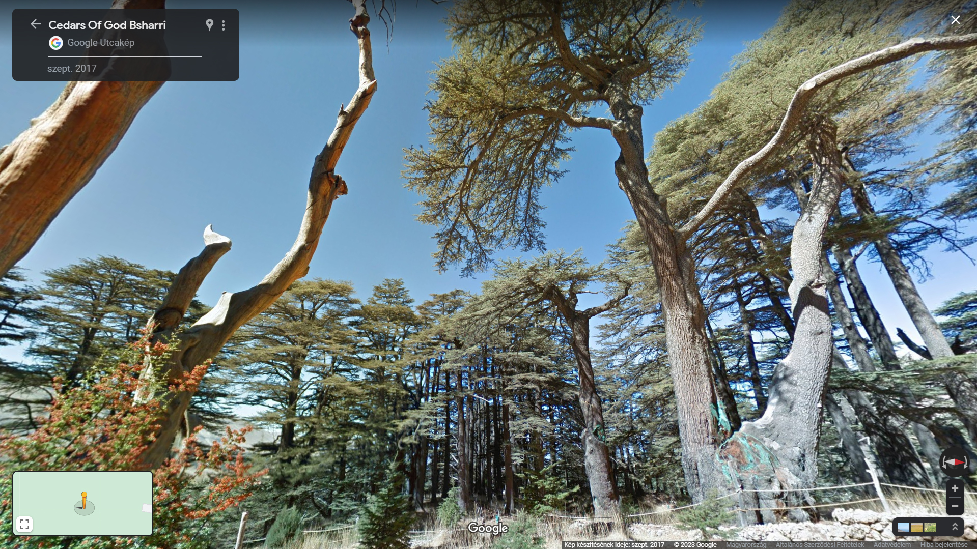 Az Úr Cédrusai liget a Google Street View 2017-es felvételén: bal oldalt a kiszáradt Lamartine-fa, középen a Magányos cédrus, jobb oldalt az Amerikai Kolónia fotójáról ismert sátor feletti cédrusóriás megmaradt része